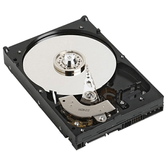 DELL   NPOS - to be sold with Server only - 1TB 7.2K RPM SATA 6Gbps 512n 3.5in Cabled Hard Drive 1000GB 3.5" Serial ATA III