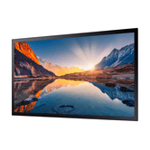 SAMSUNG  QM43B-T 43" VA 4K Ultra HD HDMI Altavoces