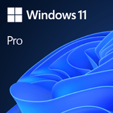 WINDOWS PRO 11 32/64BIT ESP PKC