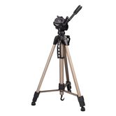 Hama Tripode Star 61  tr    pode de 3 patas  altura ajustable desde 60cm  153 cm  Color negro y oro rosado