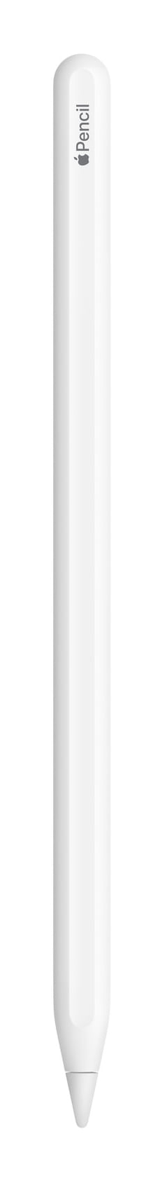 APPLE PENCIL PRO-ZML | Tiendas de APP informática online y