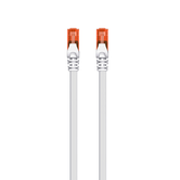Ewent - IM1030 Cable de Red CAT 6 U/UTP 7 m grey